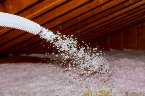 Best Insulation Replacement Services  in Leland, MS
