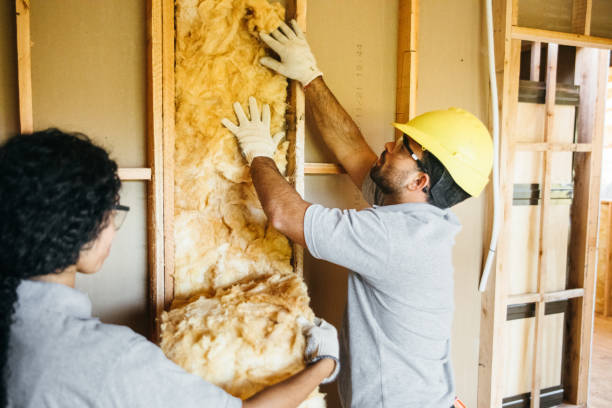 Best Residential Insulation Services  in Leland, MS